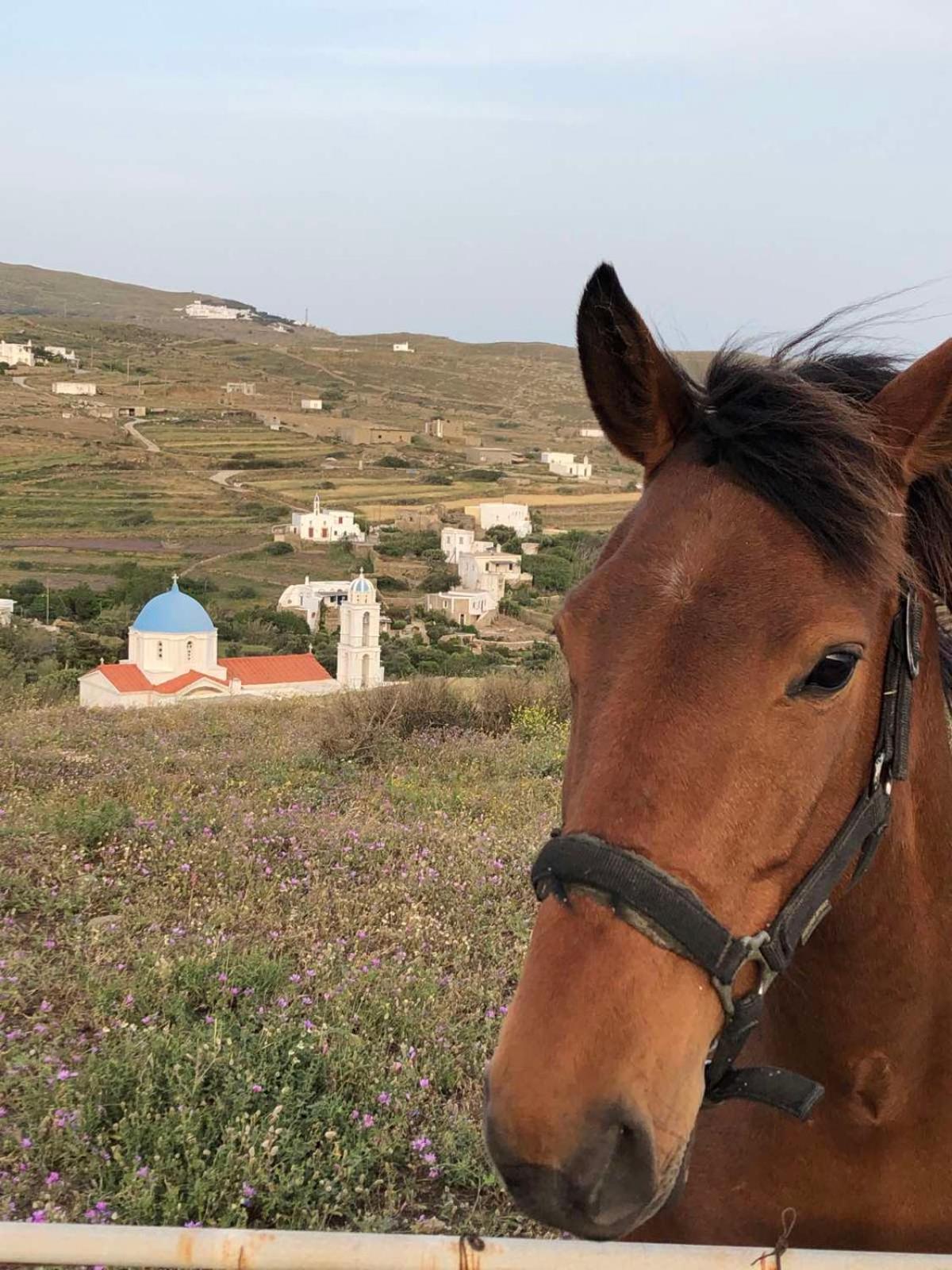 Afrodite Hotel Tínos Eksteriør billede